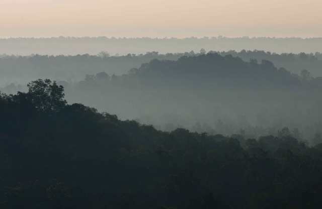 Bandhavgarh-vy-web-MNI_1908