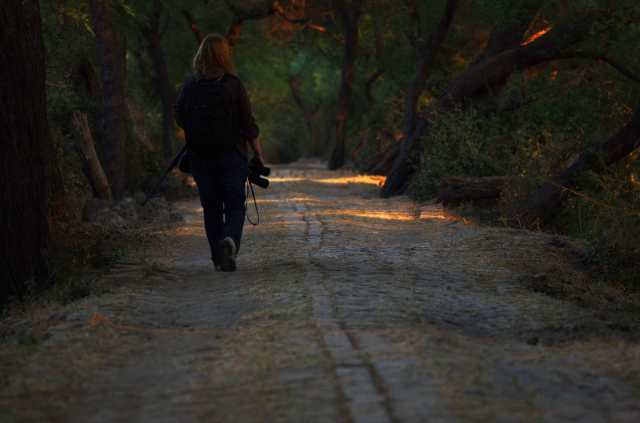 Camilla-Koleadeo-web-MNI_15