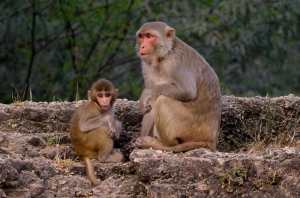 Ful-apunge-web-MNI_2489