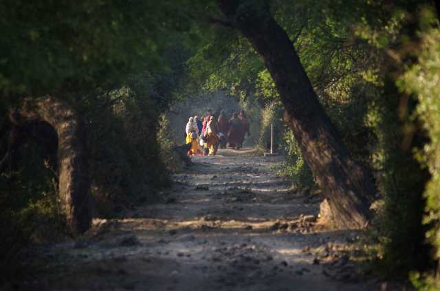 Koaladeo-stig-kvinnor-web-M