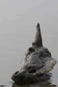 Koskalle-web-IMGP4960