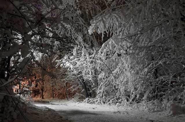 MNI_1299-snowlights-web