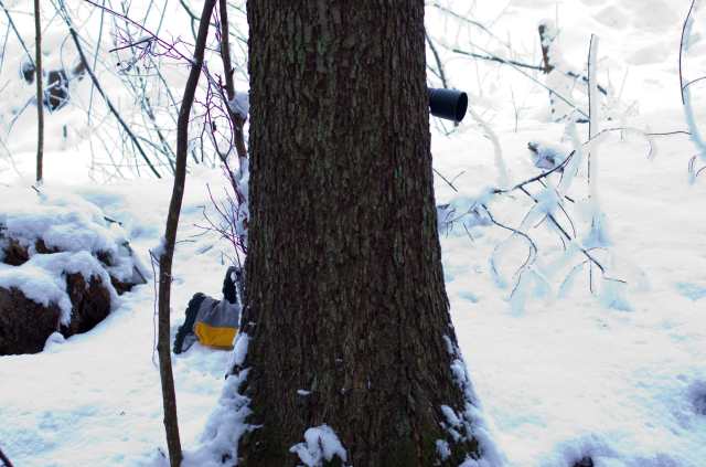 Vill inte vara med på bild