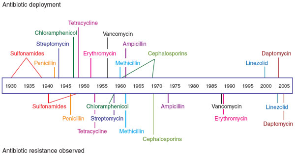 resistens_2007_24-F1