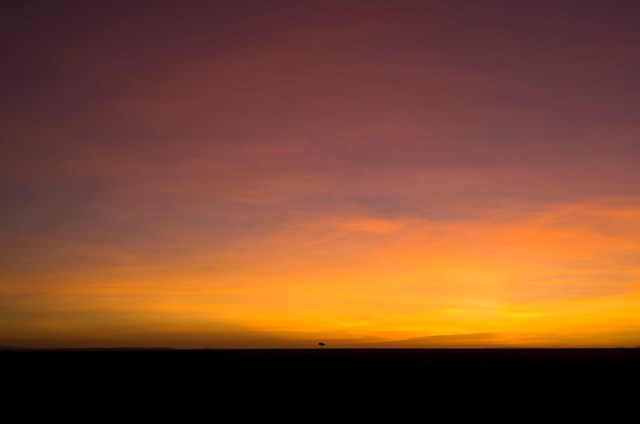 One tree sunset MNI_7396 800pxl