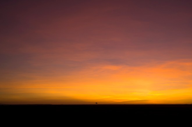 One tree sunset MNI_7396 800pxl