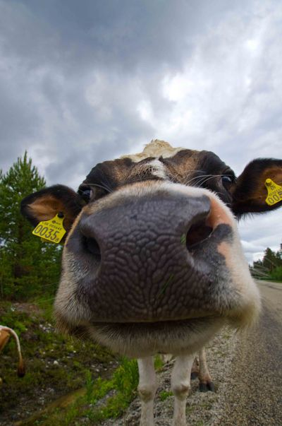 Komule MNI_9990_redigerad-2