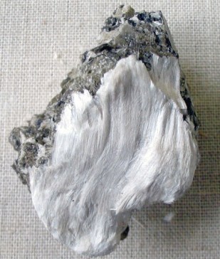 Asbestos_with_muscovite