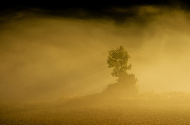 Bornsjön, Södertälje, Sverige