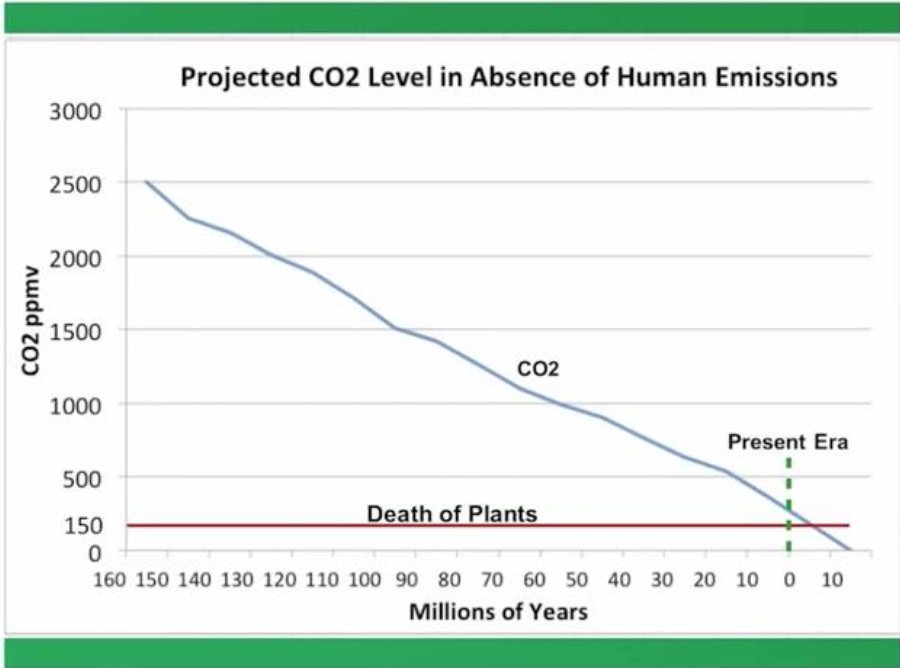Low levels of CO2 Moore