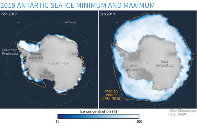 BAMS_SOTC_2019_AntarcticSeaIce_1000